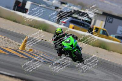 media/Mar-12-2023-SoCal Trackdays (Sun) [[d4c8249724]]/Turn 2 (1130am)/